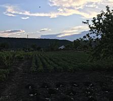 Продается дом. Дубоссарский район, село Гармацкое