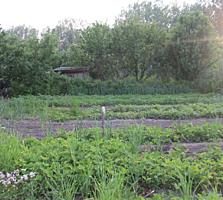 Продается дача СОТ " Долина" около Днестра в конце с. Суклея.