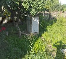 Продам дом в с. Незавертайловка