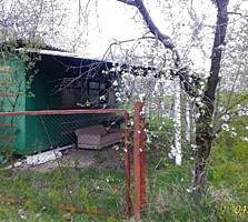 Дача Лада. Участок ухоженный. 12 соток. Vila "Lada" Lot ingrijit!