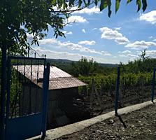 Teren de pămînt (6 arii), privatizat, amplasat 6-7 km de la Chișinău