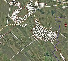 60 hectare comasate 100% in Colonita cu livada de mere - 8 km