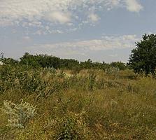Делимый участок 8.2 соток с. Лески Коминтерновский р-н Одесская обл