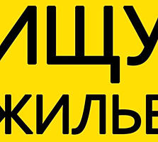 Срочно сниму дом или квартиру