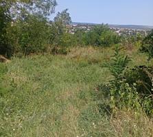 Участок В Центре Кожушны