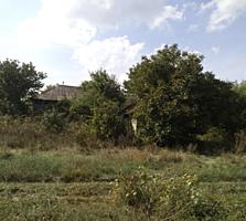 Casa + 20 ari 14900 euro Valea Colonitei 14 900 €