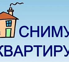 Семейная пара без детей снимет жилье на длительный срок