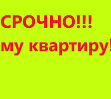 Молодая семья снимет квартиру на долгий срок, в центре! Срочно!!!