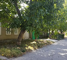Квартира на земле - удобное место под бизнес