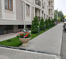 На самом деле элитная квартира в парковой зоне.