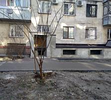 2х комнатная квартира, идеальный вариант под бизнес.
