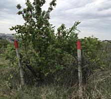 Gradina 6.14 ari. str. Ialoveni. Градина 6.14 соток ул. Яловенская