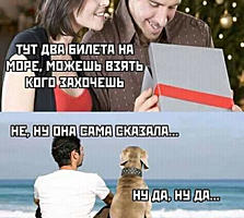 Сниму 2, 3, 4 комнатную кв. или дом
