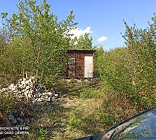 6 соток. Дачный кооператив в Крузештах. 10км от Кишинёва. Договоримся.