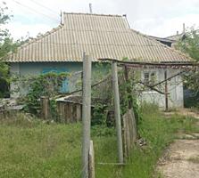 Продам дом в селе Спея