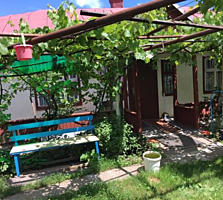 Casa satul Cornesti, Ungheni, 19 ari gradina, garaj, beci, fintina.