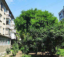 Odai separate, euroreparatie, termopane, eliberat!