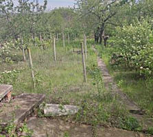 Дачный участок 6 соток в ООО Лайнер