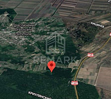 Se vinde teren, 61 ari în pădure, Drăsliceni, rn. Criuleni! Terenul ..