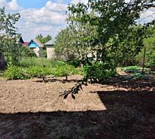Вадул луй Водэ участок 8 соток, газ, канализация, водопровод все рядом