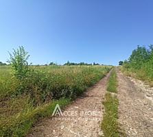 Vrei sa faci o investiție bună? Cumpără un lot de teren pentru a-ți ..