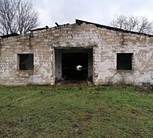 Vind grajd pentru creșterea animalelor