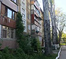 Apartamentul perfect pentru cei ce doresc liniste, dar in acelasi ...