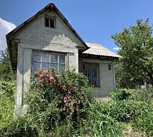 Дача Унгенский район (садовые участки) Валя Маре