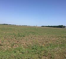 Продам участок правильной формы в прекрасном и быстро развивающем ...