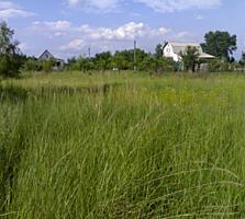 Предлагается к продаже земельный участок в садовом обществе Степовое.
