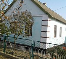 Предлагается к продаже дом в Петровке(Курисово) общей площадью ...