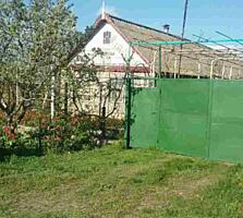 Продается дом в Беляевском районе с. Яски. Просторный двор, дом в ...