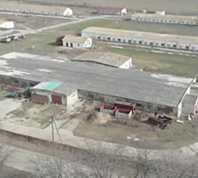 От хозяина. Без комиссии. Продам работающую ферму.