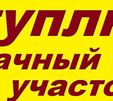 Куплю дачный участок во Флоренах или за Думбравой.