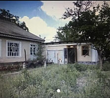 Продается дом в с. Мэлэешть