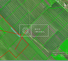 Spre vânzare teren agricol în raionul Căușeni, satul Grigorievca. ...