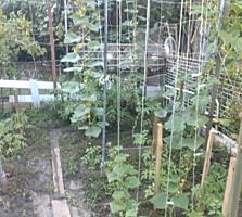 Продам 1 /2 часть в 2-к квартире. Центр. От владельца. Сертификат