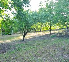 Teren pentru constructii 18ari - Dumbrava - cu comunicatii