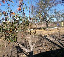 Срочно продам дачный участок по одесской трассе - есть кунг.