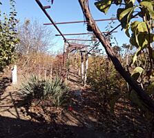 Продам огород