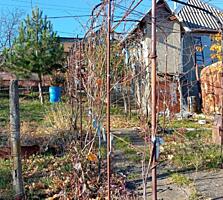 Дача в экологически чистой зоне