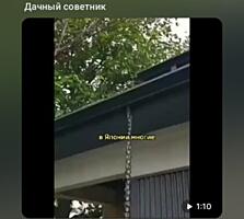 Возьму в аренду участок