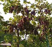 Продается хороший дом на Протягайловке! ТОРГ!!!