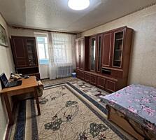 1- комнатная, Федько, Поликлиника, Хомяк