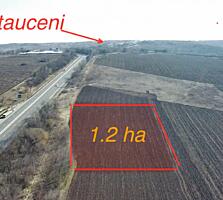 Vanzare Teren 1,2 ha traseu Orhei Chișinău M2