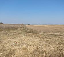 продаж ділянка сільськогосподарського призначення Бориспільський, Воро