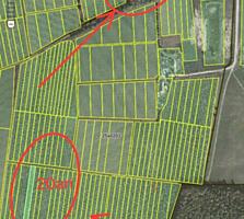 Vand teren agricol 50 ari extravilanul sat. Saseni rl. Calarasi