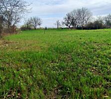 Участок у лимана под инвестицию — 20 соток с потенциалом роста