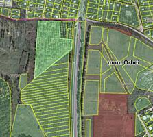 Întrarea in Orhei. Afacere de perspectivă. 252 a
