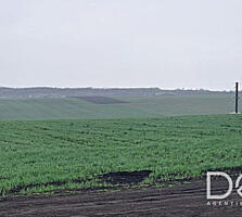 Земля сельскохозяйственного назначения, 26,5 соток, Бачой